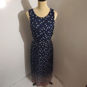 Navy Blue and White Long Dress
